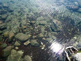 スチュワートスプリング